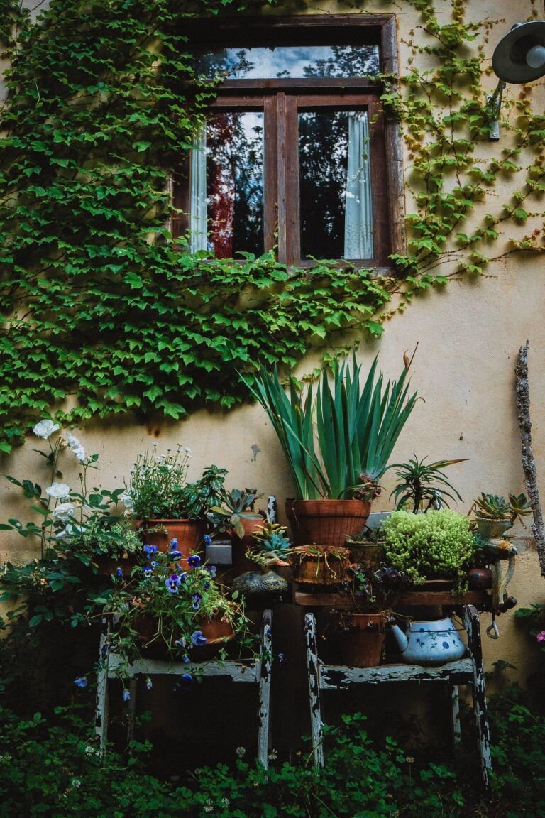 Home pexels tivasee 17374727 32400686 (1)